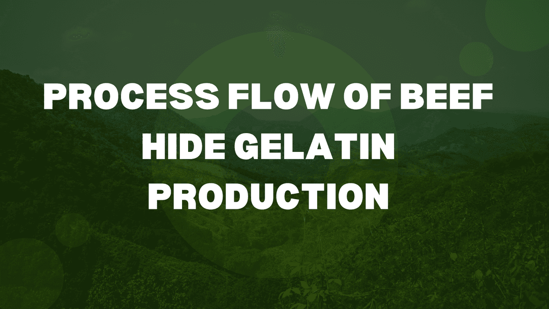 Beef Hide Gelatin Production